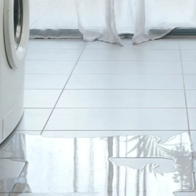 Appliance Leak Cleanup in Belleview, FL