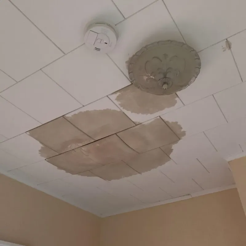 Ceiling Water Damage Repair in Belleview, FL